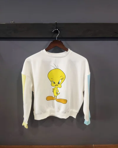 Looney Tunes Sweatshirt (Small)